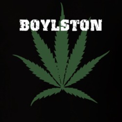 Boylston Oswego County New York State Weed Marijuana T Shirt 5371226