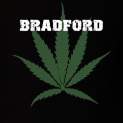 Bradford Steuben County New York State Weed Marijuana T Shirt 5371232
