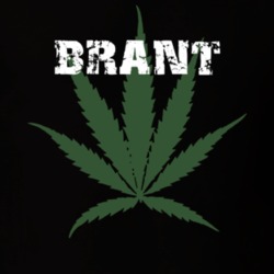 Brant Erie County New York State Weed Marijuana T Shirt 5371245