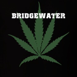 Bridgewater Oneida County New York State Weed Marijuana T Shirt 5371261