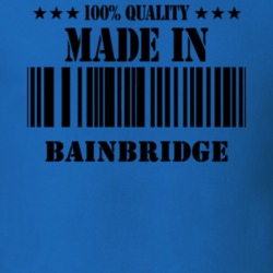 Bainbridge Chenango County New York State Made In Born T Shirt 5371275