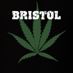 Bristol Ontario County New York State Weed Marijuana T Shirt 5371283