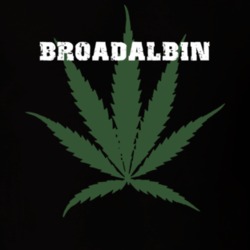 Broadalbin Fulton County New York State Weed Marijuana T Shirt 5371289