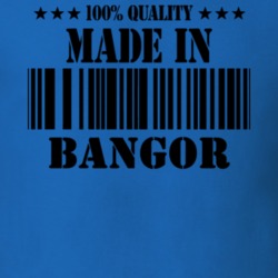 Bangor Franklin County New York State Made In Born T Shirt 5371299