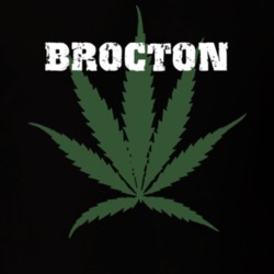 Brocton Chautauqua County New York State Weed Marijuana T Shirt 5371300