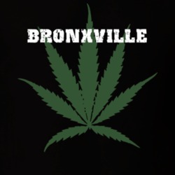 Bronxville Westchester County New York State Weed Marijuana T Shirt 5371306