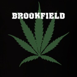 Brookfield Madison County New York State Weed Marijuana T Shirt 5371312