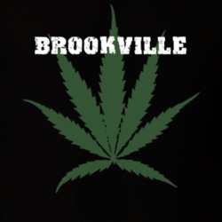 Brookville Nassau County New York State Weed Marijuana T Shirt 5371325