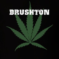 Brushton Franklin County New York State Weed Marijuana T Shirt 5371345