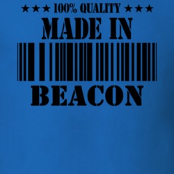 Beacon Dutchess County New York State Made In Born T Shirt 5371355