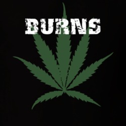 Burns Allegany County New York State Weed Marijuana T Shirt 5371383