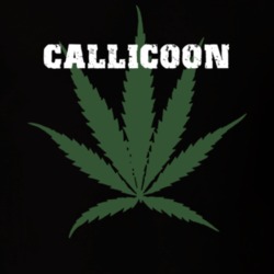 Callicoon Sullivan County New York State Weed Marijuana T Shirt 5371426
