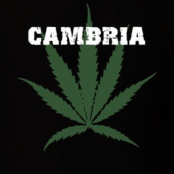Cambria Niagara County New York State Weed Marijuana T Shirt 5371432
