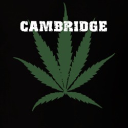 Cambridge Washington County New York State Weed Marijuana T Shirt 5371437