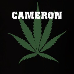 Cameron Steuben County New York State Weed Marijuana T Shirt 5371449