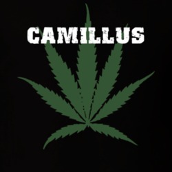 Camillus Onondaga County New York State Weed Marijuana T Shirt 5371454