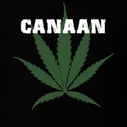 Canaan Columbia County New York State Weed Marijuana T Shirt 5371464