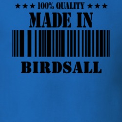 Birdsall Allegany County New York State Made In Born T Shirt 5371469