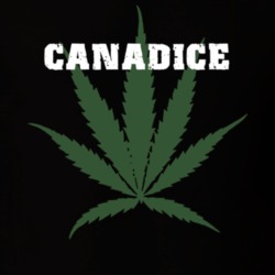 Canadice Ontario County New York State Weed Marijuana T Shirt 5371472