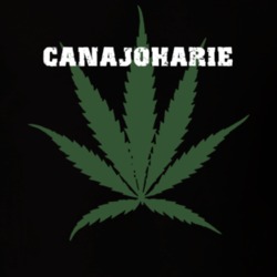 Canajoharie Montgomery County New York State Weed Marijuana T Shirt 5371480