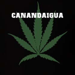 Canandaigua Ontario County New York State Weed Marijuana T Shirt 5371486