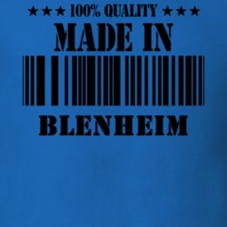 Blenheim Schoharie County New York State Made In Born T Shirt 5371488