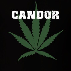 Candor Tioga County New York State Weed Marijuana T Shirt 5371504