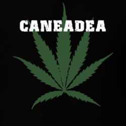 Caneadea Allegany County New York State Weed Marijuana T Shirt 5371509