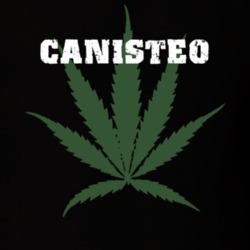 Canisteo Steuben County New York State Weed Marijuana T Shirt 5371514