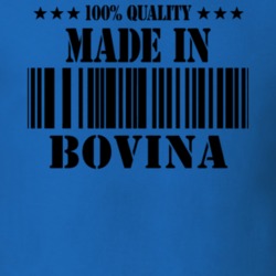 Bovina Delaware County New York State Made In Born T Shirt 5371539