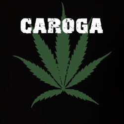 Caroga Fulton County New York State Weed Marijuana T Shirt 5371545