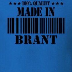 Brant Erie County New York State Made In Born T Shirt 5371561