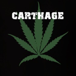 Carthage Jefferson County New York State Weed Marijuana T Shirt 5371563