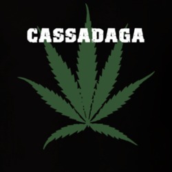 Cassadaga Chautauqua County New York State Weed Marijuana T Shirt 5371570