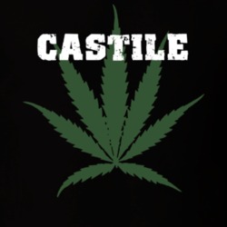 Castile Wyoming County New York State Weed Marijuana T Shirt 5371579