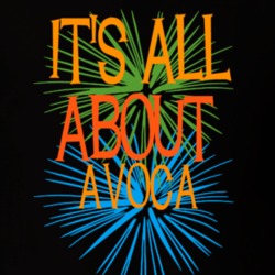 Avoca Steuben County New York State Its All About T Shirt 5371592