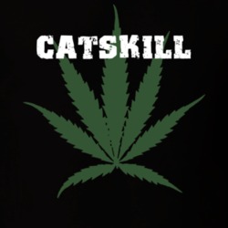 Catskill Greene County New York State Weed Marijuana T Shirt 5371615
