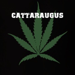 Cattaraugus Cattaraugus County New York State Weed Marijuana T Shirt 5371620