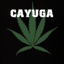 Cayuga Cayuga County New York State Weed Marijuana T Shirt 5371625