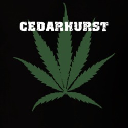 Cedarhurst Nassau County New York State Weed Marijuana T Shirt 5371644