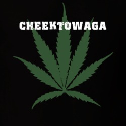 Cheektowaga Erie County New York State Weed Marijuana T Shirt 5371719