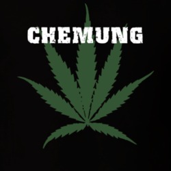 Chemung Chemung County New York State Weed Marijuana T Shirt 5371724
