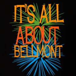 Bellmont Franklin County New York State Its All About T Shirt 5371726