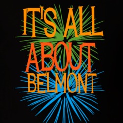 Belmont Allegany County New York State Its All About T Shirt 5371739