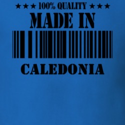 Caledonia Livingston County New York State Made In Born T Shirt 5371751