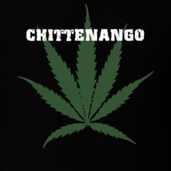 Chittenango Madison County New York State Weed Marijuana T Shirt 5371757