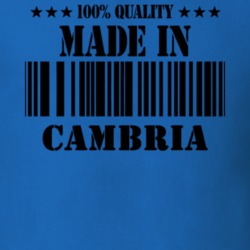 Cambria Niagara County New York State Made In Born T Shirt 5371764
