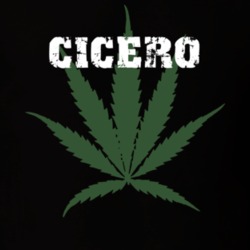 Cicero Onondaga County New York State Weed Marijuana T Shirt 5371768