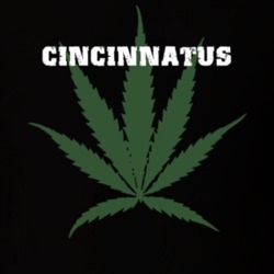 Cincinnatus Cortland County New York State Weed Marijuana T Shirt 5371773