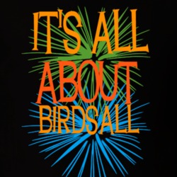 Birdsall Allegany County New York State Its All About T Shirt 5371803